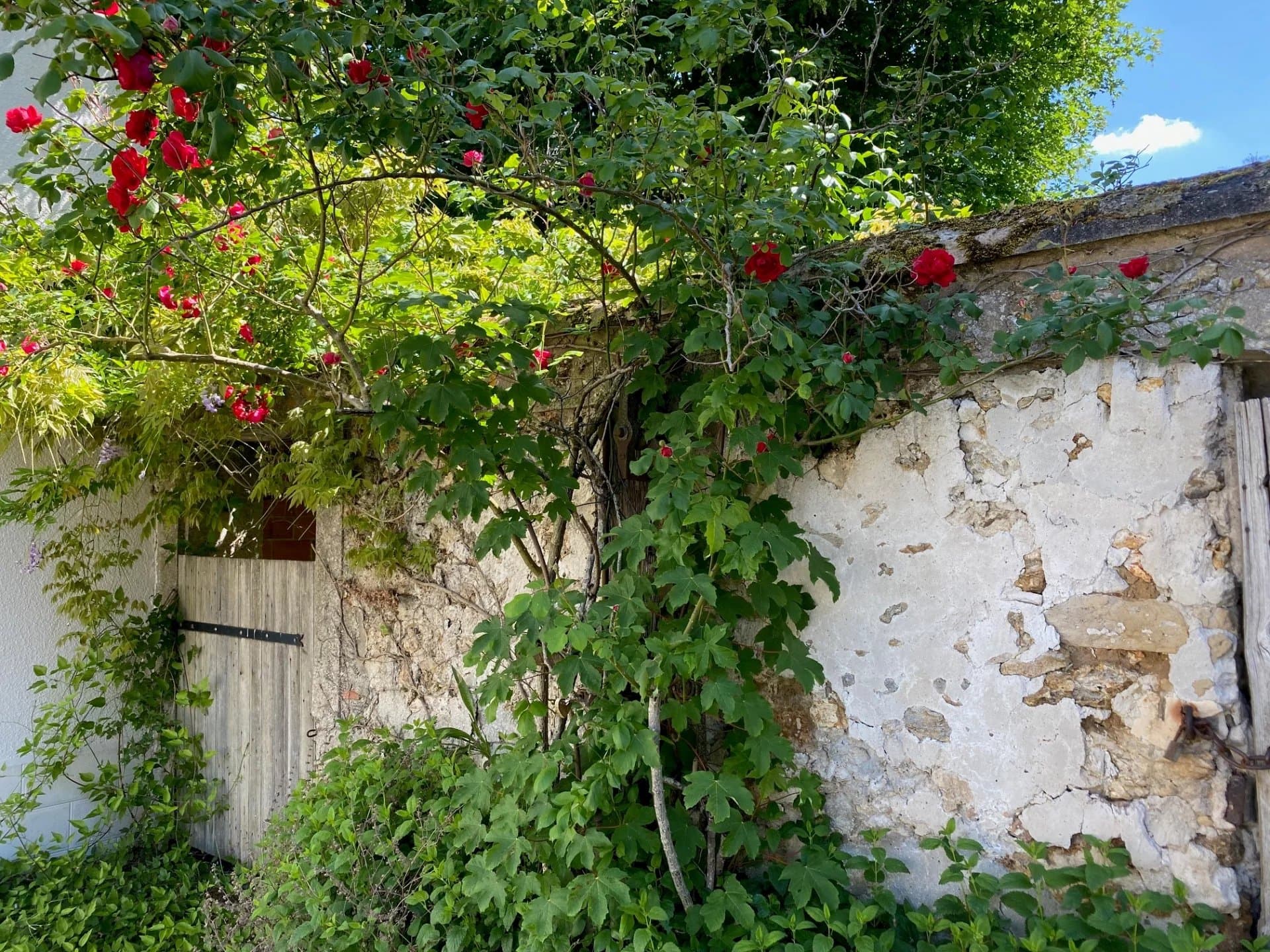 ORGEVAL - CHARMANTE MAISON MEUBLEE - Image 26