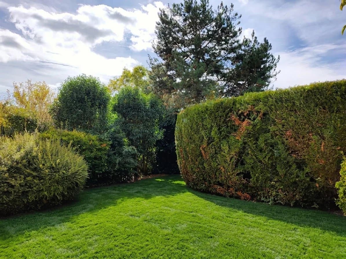 APPARTEMENT AVEC JARDIN PRIVATIF, CAVES ET PARKING - Image 7